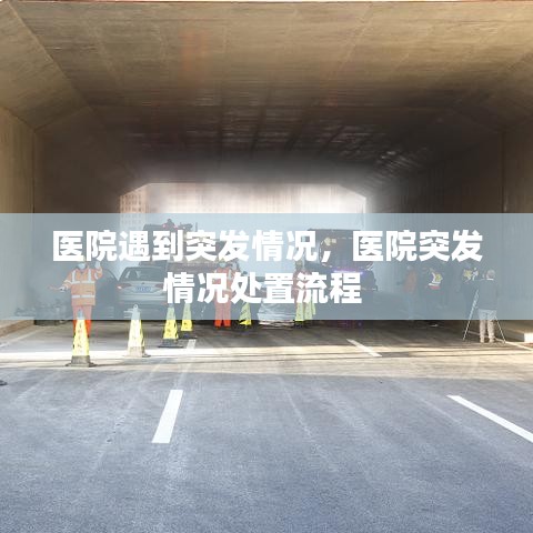 新版本圣骑士卡组2017及七猫免费阅读小说官方下载,全面执行计划数据|创意版1_v10.648