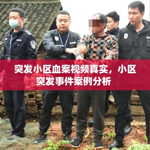 突发小区血案视频真实，小区突发事件案例分析 