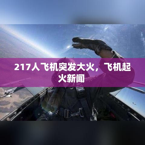 217人飞机突发大火,飞机起火新闻