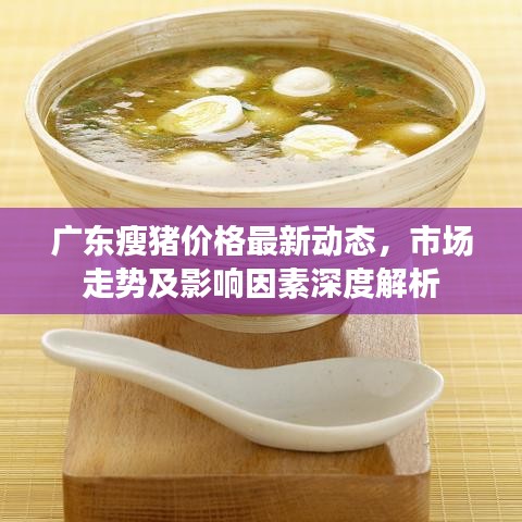 广东瘦猪价格最新动态，市场走势及影响因素深度解析