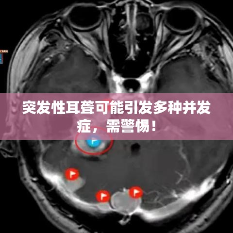 头条视频历史版本，创意工具与效果库的无界融合——苹果v5.470权威研究解释定义