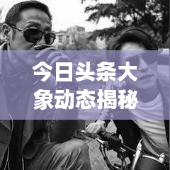 今日头条大象动态揭秘,最新消息抢先看