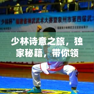少林诗意之旅,独家秘籍,带你领略禅武秘境