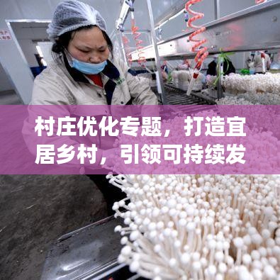 村庄优化专题，打造宜居乡村，引领可持续发展之路