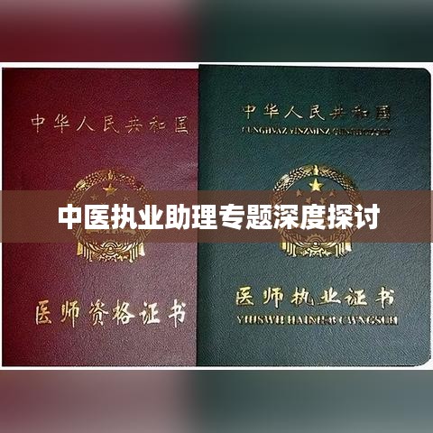 中医执业助理专题深度探讨