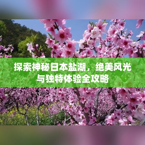 探索神秘日本盐湖，绝美风光与独特体验全攻略