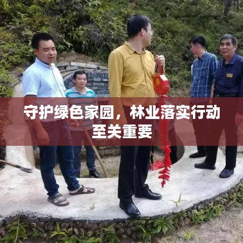 守护绿色家园，林业落实行动至关重要