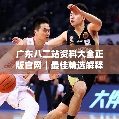 广东八二站资料大全正版官网|最佳精选解释定义