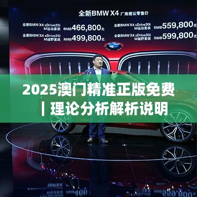 2025澳门精准正版免费|理论分析解析说明
