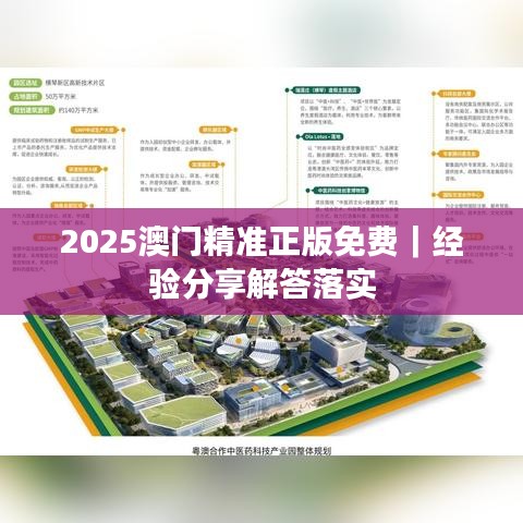 2025澳门精准正版免费｜经验分享解答落实