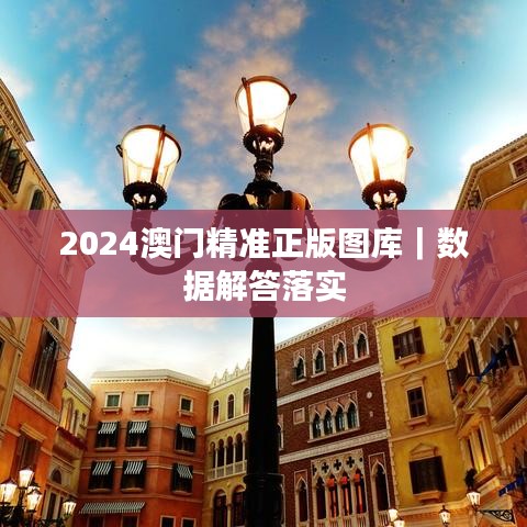2024澳门精准正版图库|数据解答落实