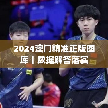 2024澳门精准正版图库|数据解答落实