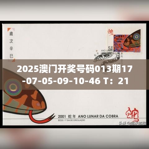 2025澳门开奖号码013期17-07-05-09-10-46 T：21