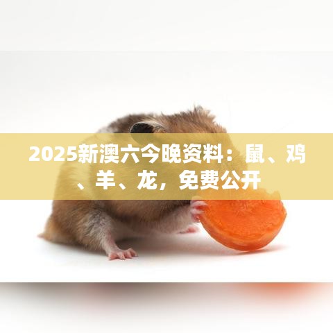 2025新澳六今晚资料:鼠、鸡、羊、龙,免费公开