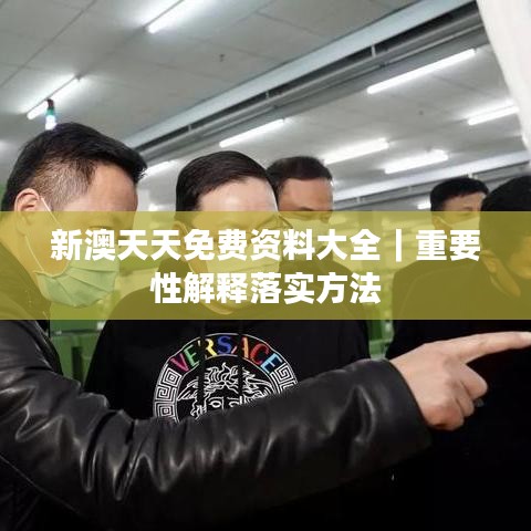 新澳天天免费资料大全|重要性解释落实方法