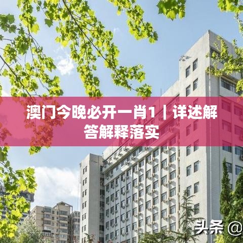 澳门今晚必开一肖1｜详述解答解释落实