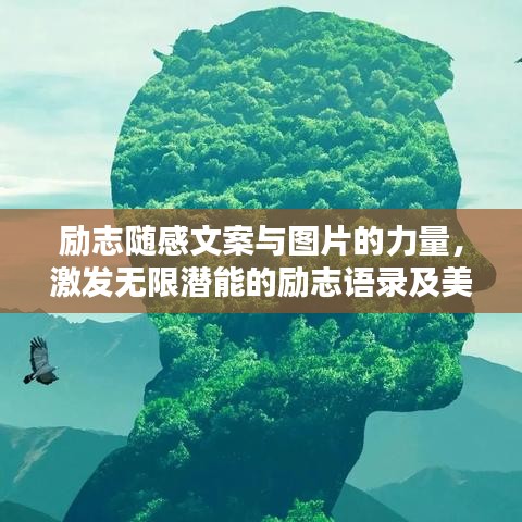 励志随感文案与图片的力量，激发无限潜能的励志语录及美图欣赏