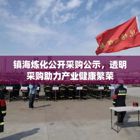 镇海炼化公开采购公示，透明采购助力产业健康繁荣