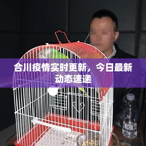 合川疫情实时更新,今日最新动态速递