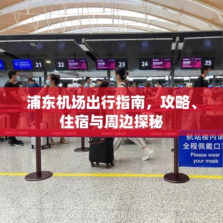 浦东机场出行指南，攻略、住宿与周边探秘