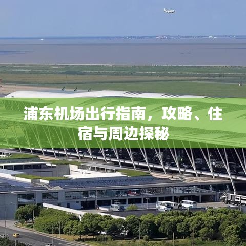 浦东机场出行指南,攻略、住宿与周边探秘