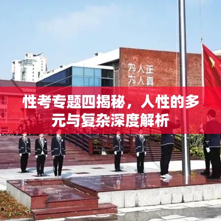 性考专题四揭秘，人性的多元与复杂深度解析