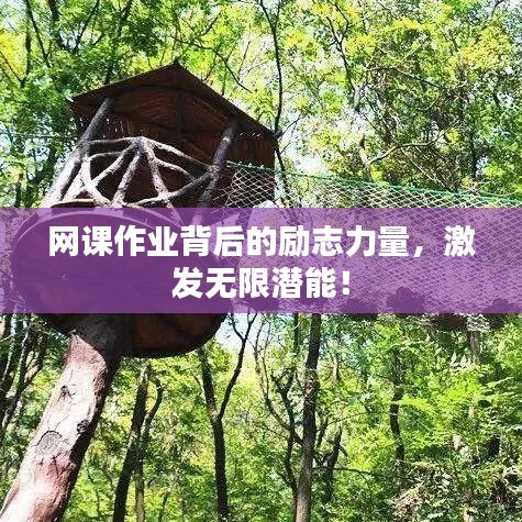 网课作业背后的励志力量,激发无限潜能!