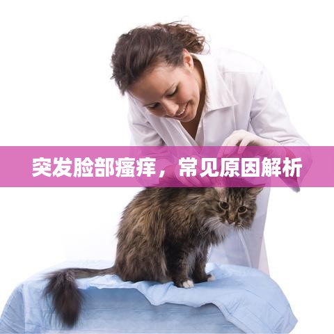 突发脸部瘙痒，常见原因解析