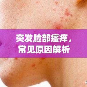 突发脸部瘙痒,常见原因解析