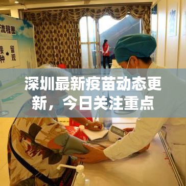 深圳最新疫苗动态更新，今日关注重点