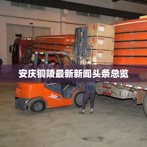 安庆铜陵最新新闻头条总览