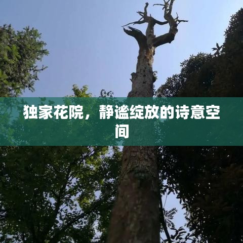 独家花院，静谧绽放的诗意空间