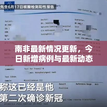 南非最新情况更新，今日新增病例与最新动态速递
