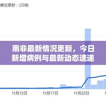 南非最新情况更新,今日新增病例与最新动态速递