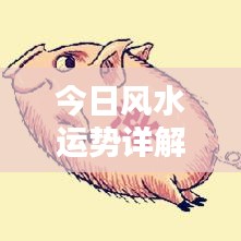 今日风水运势详解，最新走势分析报告