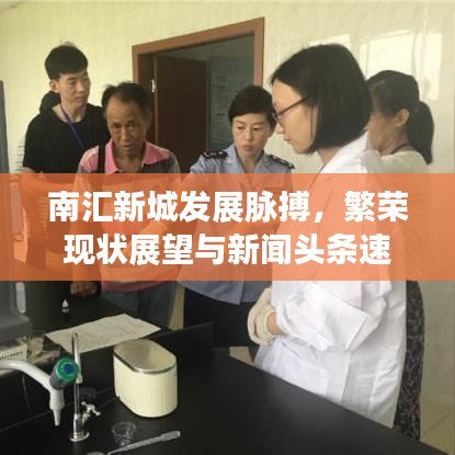 南汇新城发展脉搏，繁荣现状展望与新闻头条速递