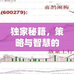 独家秘籍，策略与智慧的完美结合，无敌战法秘籍大全！