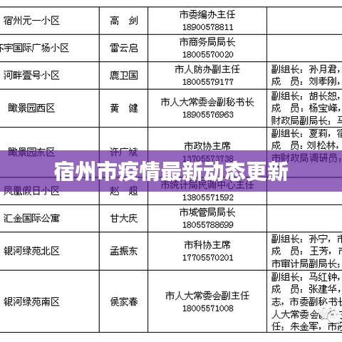 宿州市疫情最新动态更新