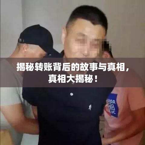 揭秘转账背后的故事与真相,真相大揭秘!