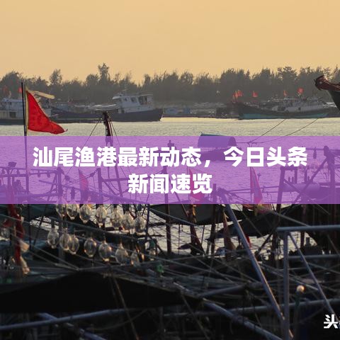 汕尾渔港最新动态，今日头条新闻速览