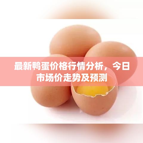 最新鸭蛋价格行情分析，今日市场价走势及预测