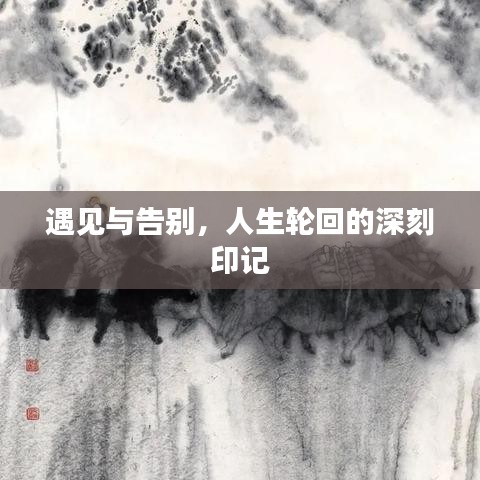 遇见与告别，人生轮回的深刻印记