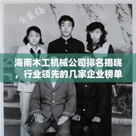 海南木工机械公司排名揭晓，行业领先的几家企业榜单