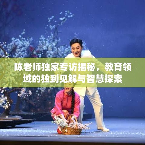 陈老师独家专访揭秘，教育领域的独到见解与智慧探索