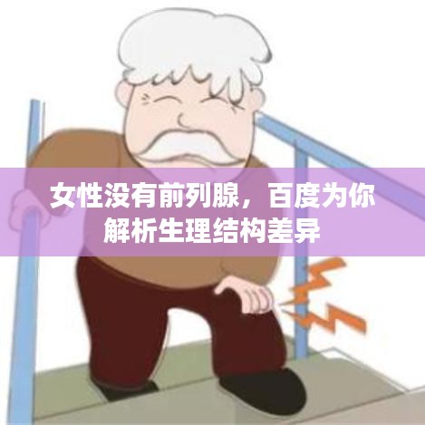 女性没有前列腺，百度为你解析生理结构差异