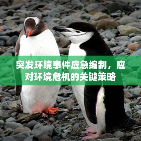 突发环境事件应急编制，应对环境危机的关键策略