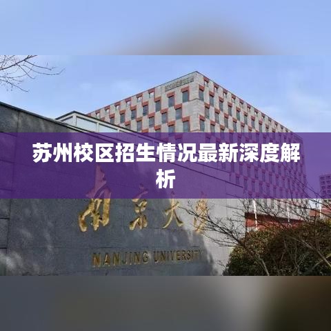 苏州校区招生情况最新深度解析