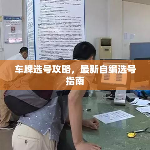 车牌选号攻略，最新自编选号指南