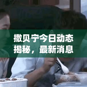 撒贝宁今日动态揭秘，最新消息引关注