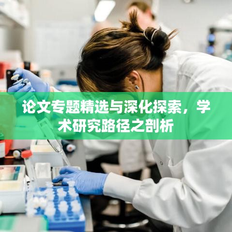 论文专题精选与深化探索，学术研究路径之剖析